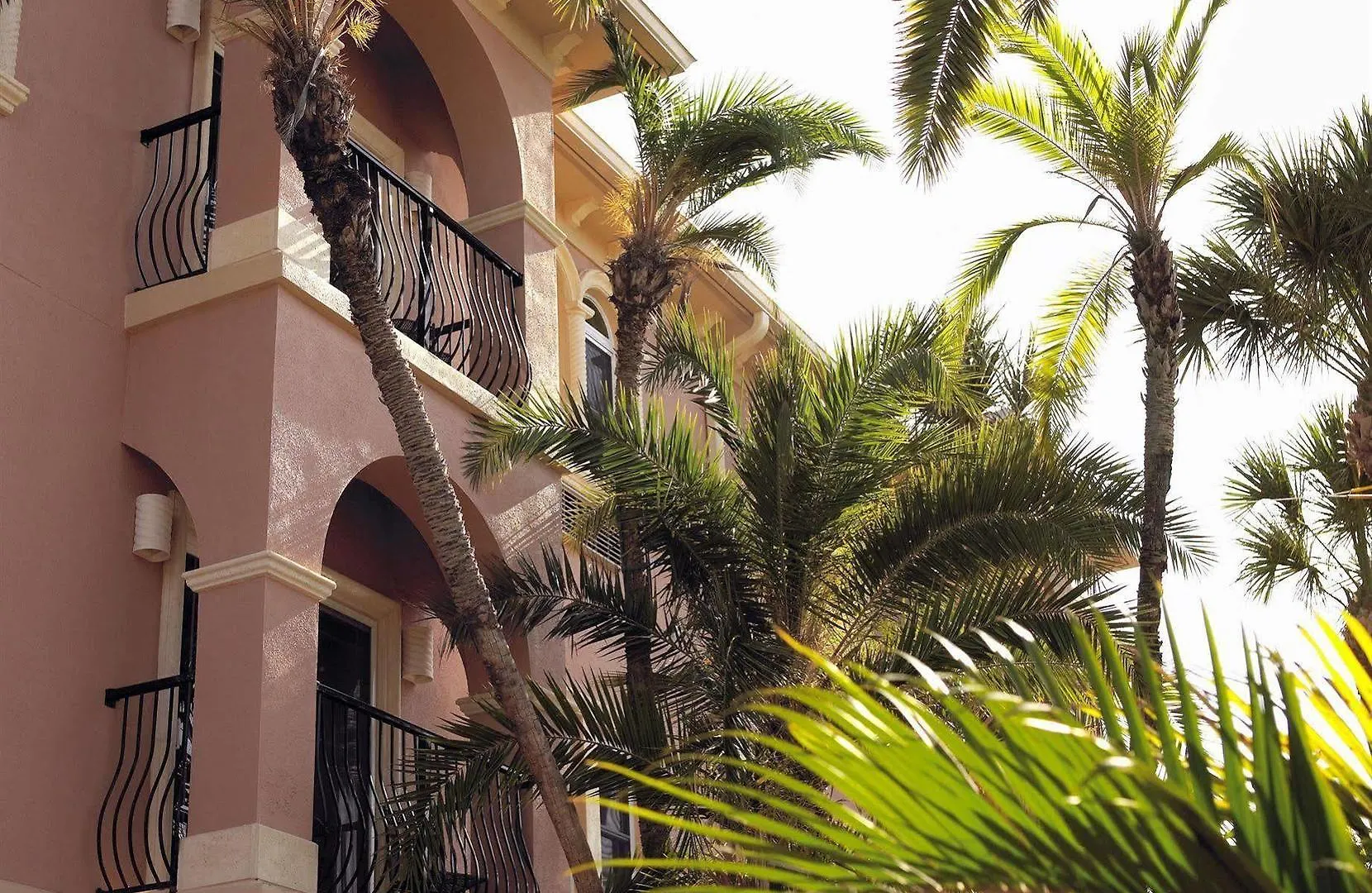 Tahitian Inn Boutique Hotel Tampa